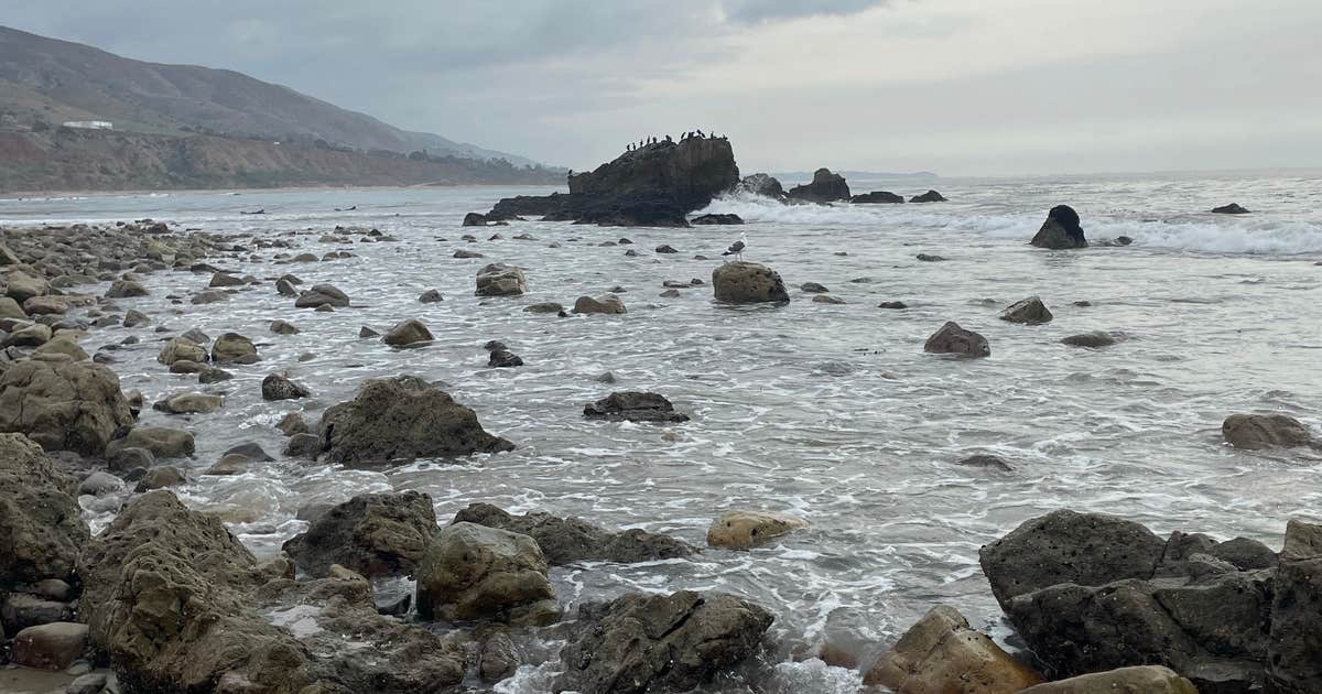 Leo Carrillo State Park Camping | The Dyrt