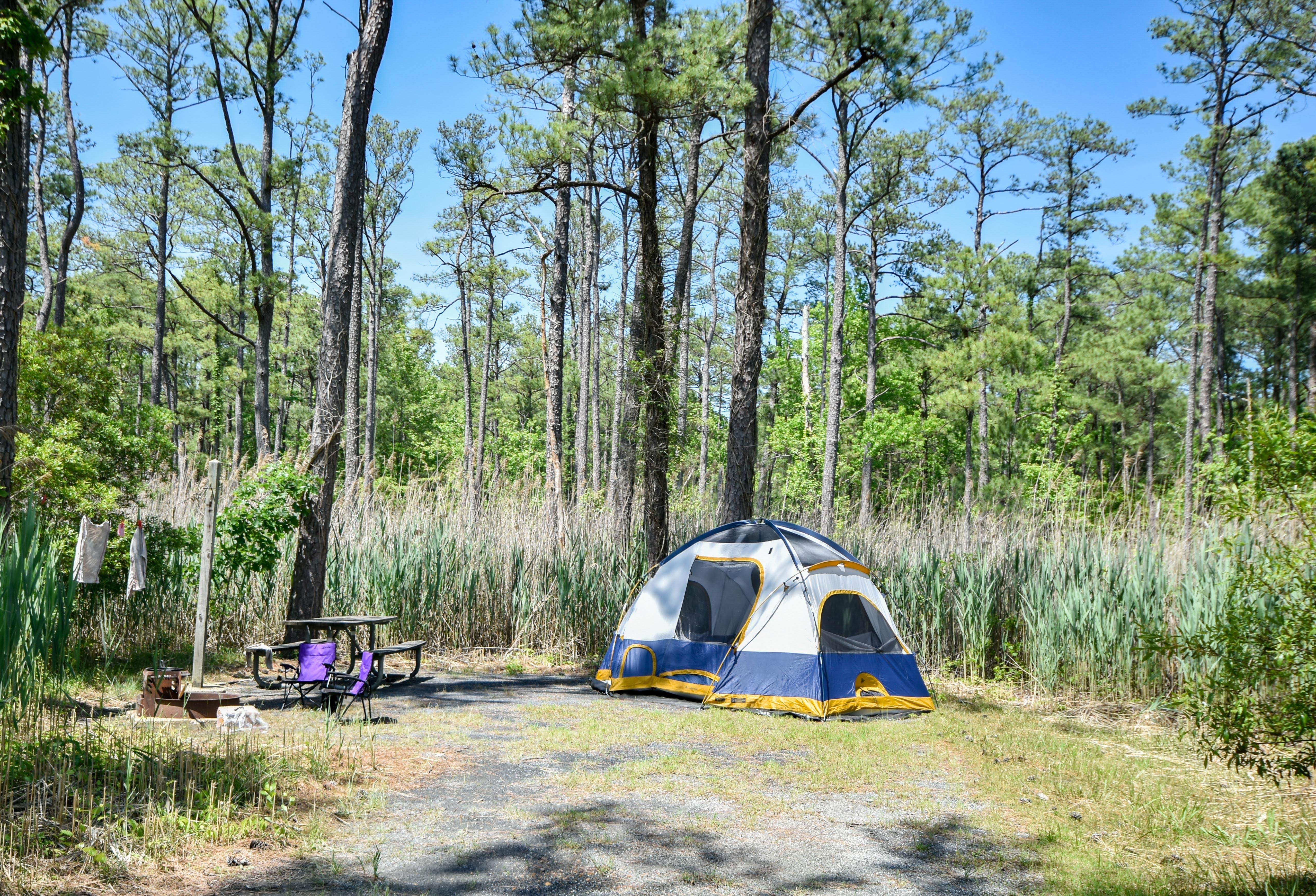 Tara S.'s photo at Point Lookout State Park - Temporarily Closed near California, MD