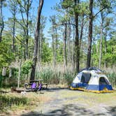 Review photo of Point Lookout State Park - Temporarily Closed by Tara S., May 30, 2018