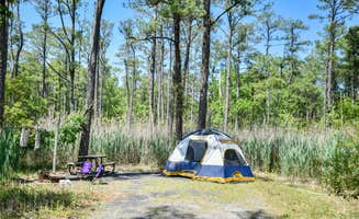 Tara S.'s photo at Point Lookout State Park - Temporarily Closed near California, MD