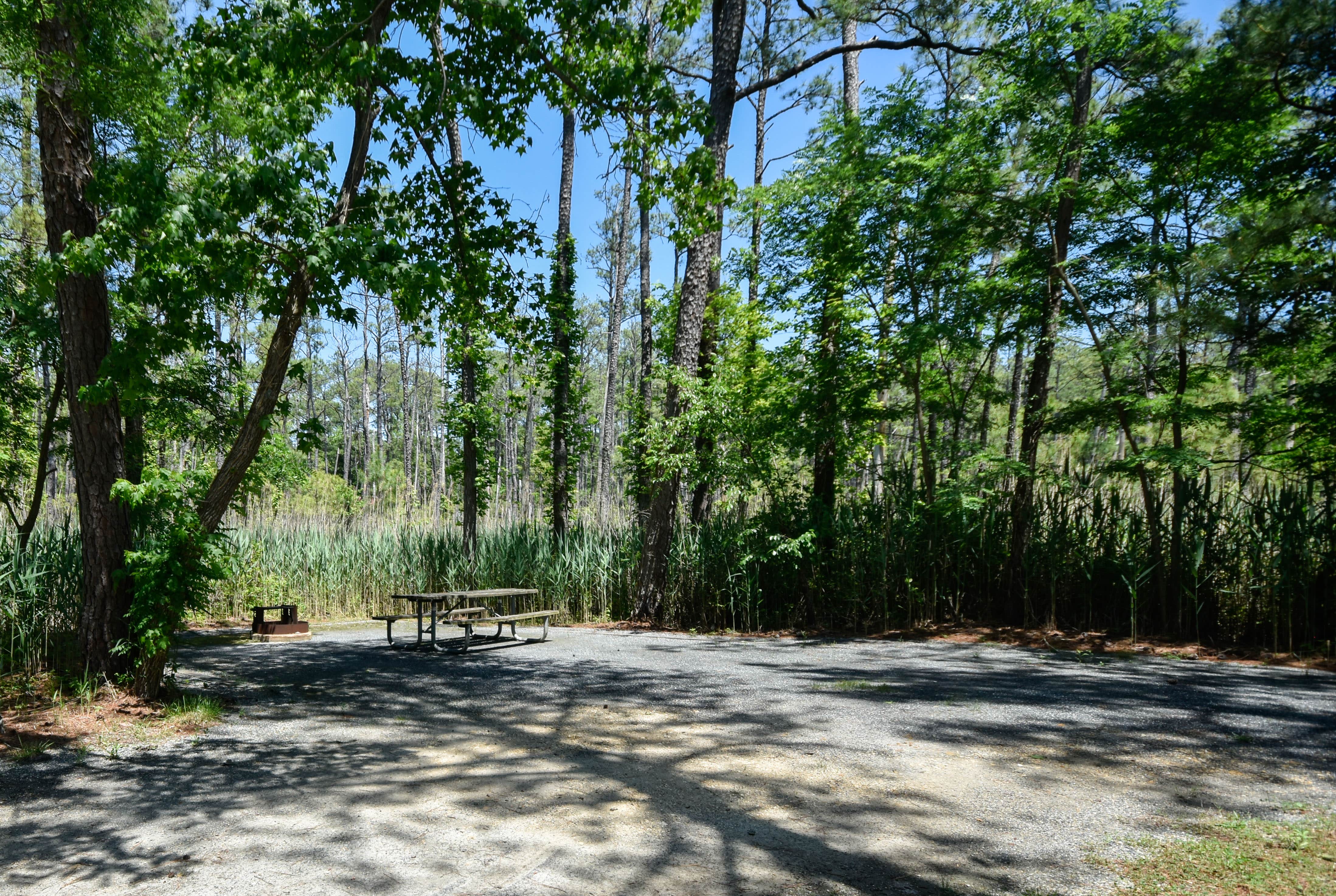 Camper-submitted photo at Point Lookout State Park - Temporarily Closed near Dowell, MD