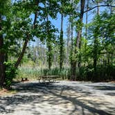 Review photo of Point Lookout State Park - Temporarily Closed by Tara S., May 30, 2018