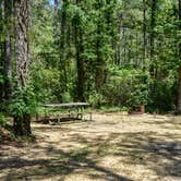 Review photo of Point Lookout State Park - Temporarily Closed by Tara S., May 30, 2018