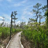 Review photo of Point Lookout State Park - Temporarily Closed by Tara S., May 30, 2018