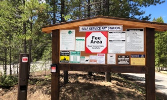 Camping near Sugar Loafin' RV/Campground & Cabins: Matchless Campground, Leadville, Colorado