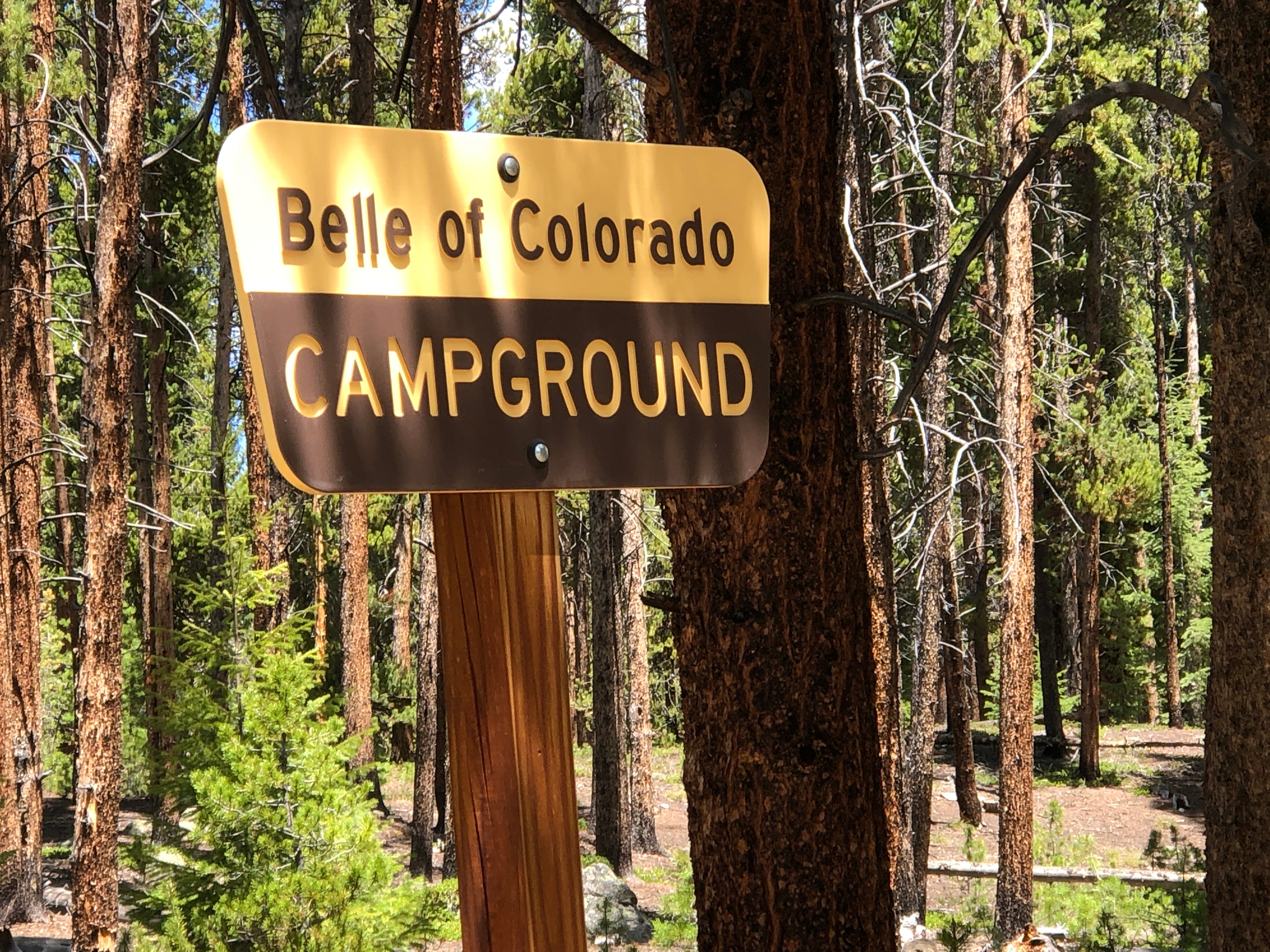 Camper submitted image from Belle of Colorado Campground - 1