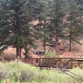 Review photo of Twin Eagles Campground by Hayley K., March 9, 2021