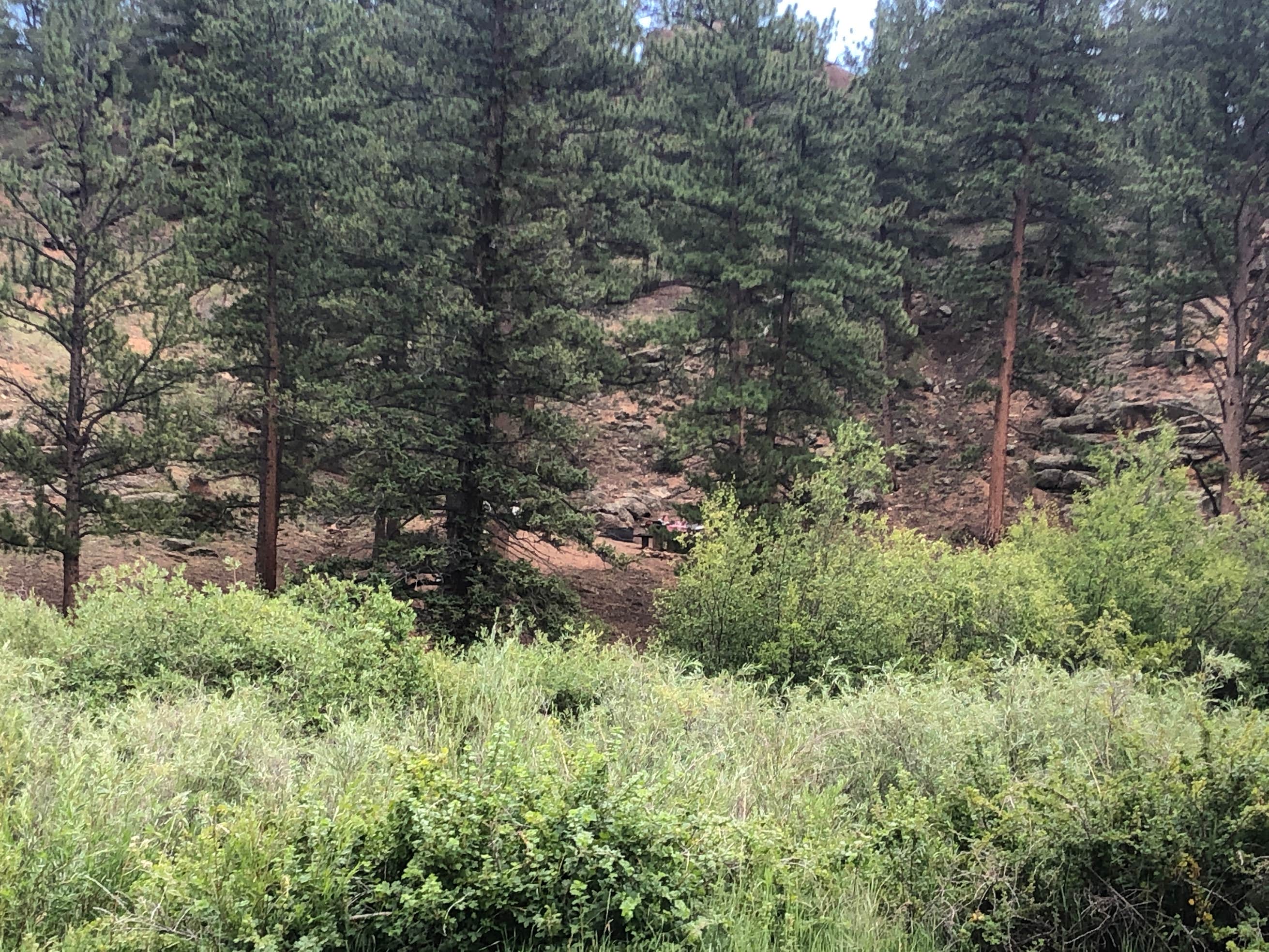 Twin Eagles Campground The Dyrt