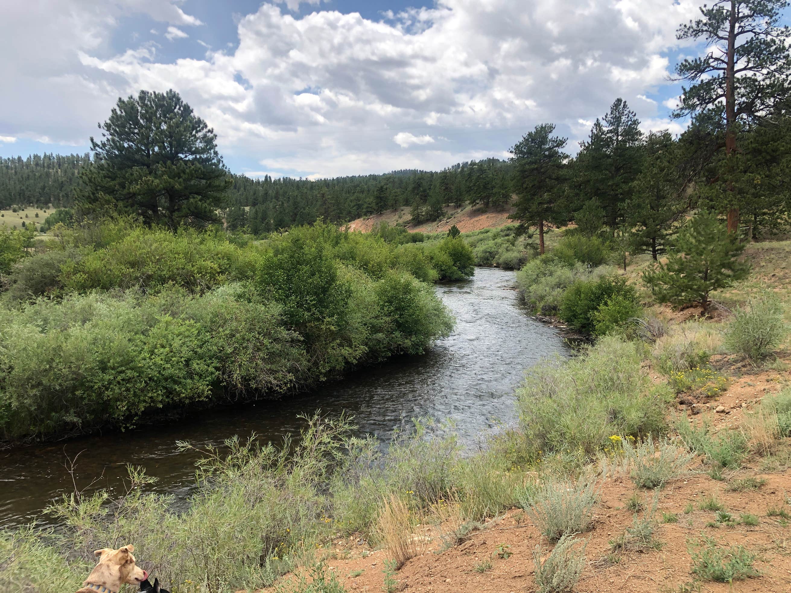 Twin Eagles Campground Camping The Dyrt