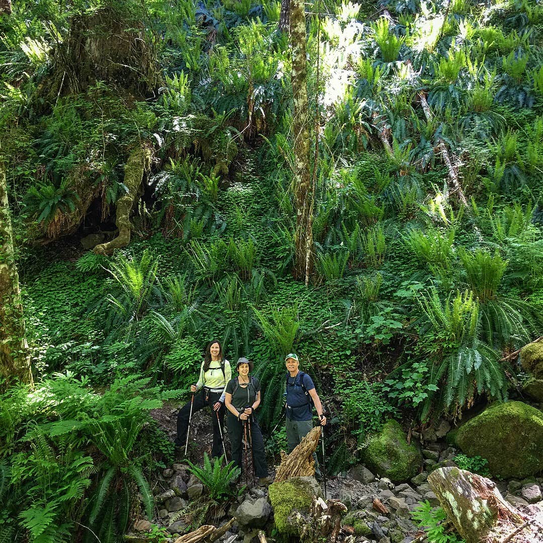 Camper-submitted photo at Elk Creek Campground near Timber, OR