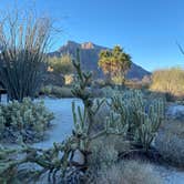 Review photo of Borrego Palm Canyon Campground — Anza-Borrego Desert State Park by Esther Y., March 7, 2021