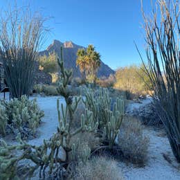 Borrego Palm Canyon Campground — Anza-Borrego Desert State Park