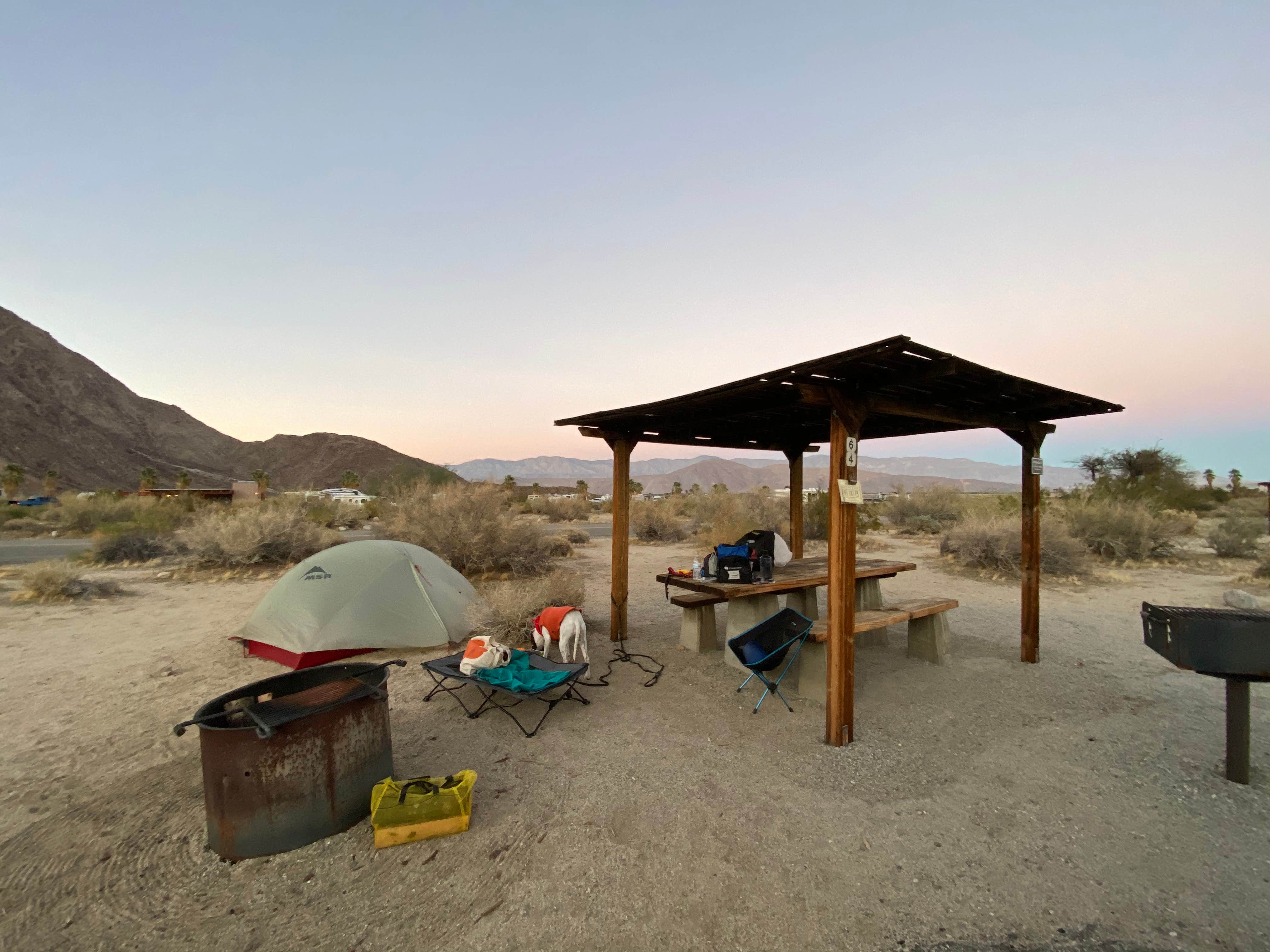 Esther Y.'s photo at Borrego Palm Canyon Campground — Anza-Borrego Desert State Park near Salton City, CA