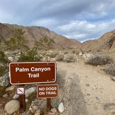 Review photo of Borrego Palm Canyon Campground — Anza-Borrego Desert State Park by Esther Y., March 7, 2021