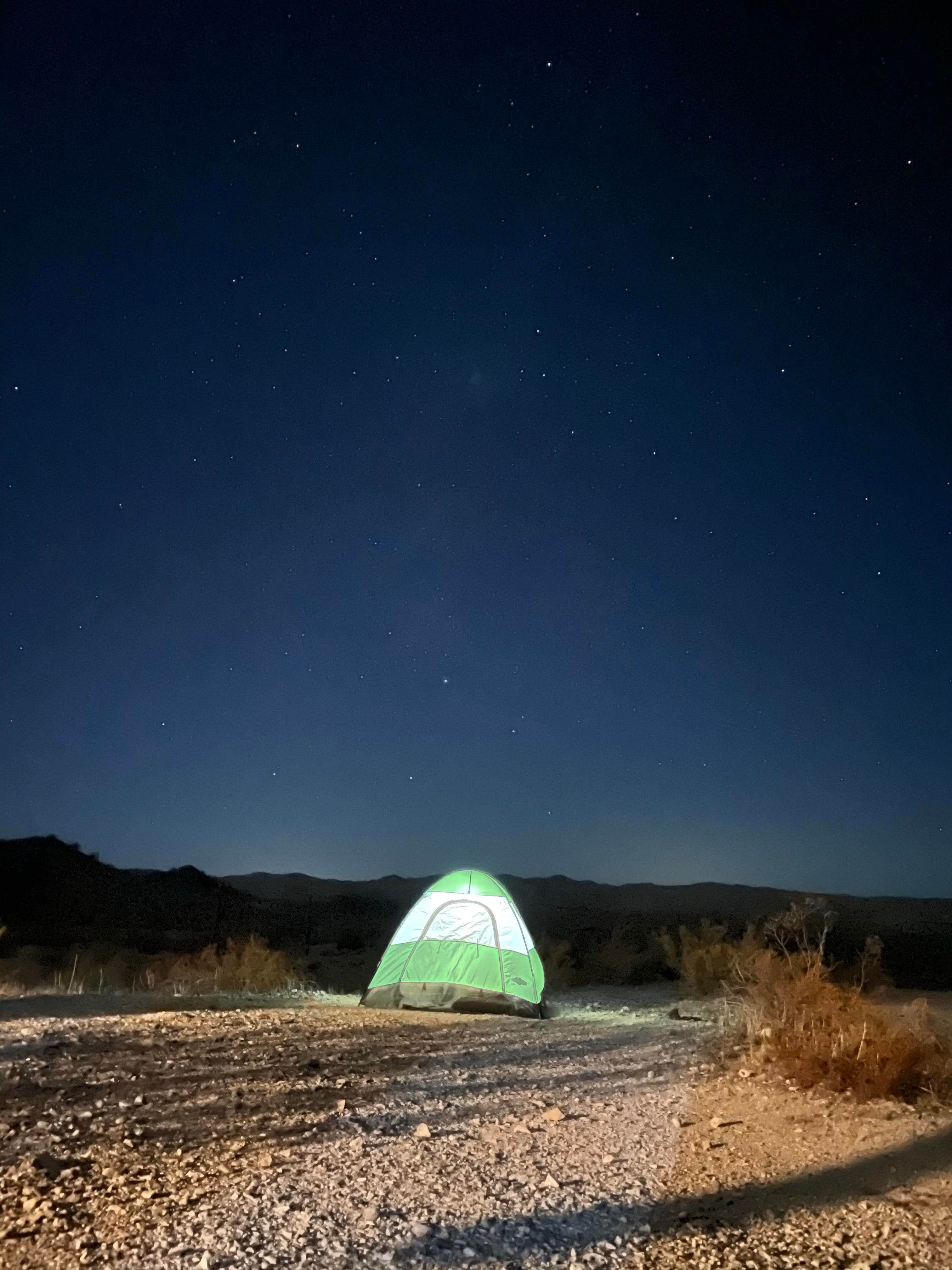 Camper submitted image from Swansea Ghost Town - 1