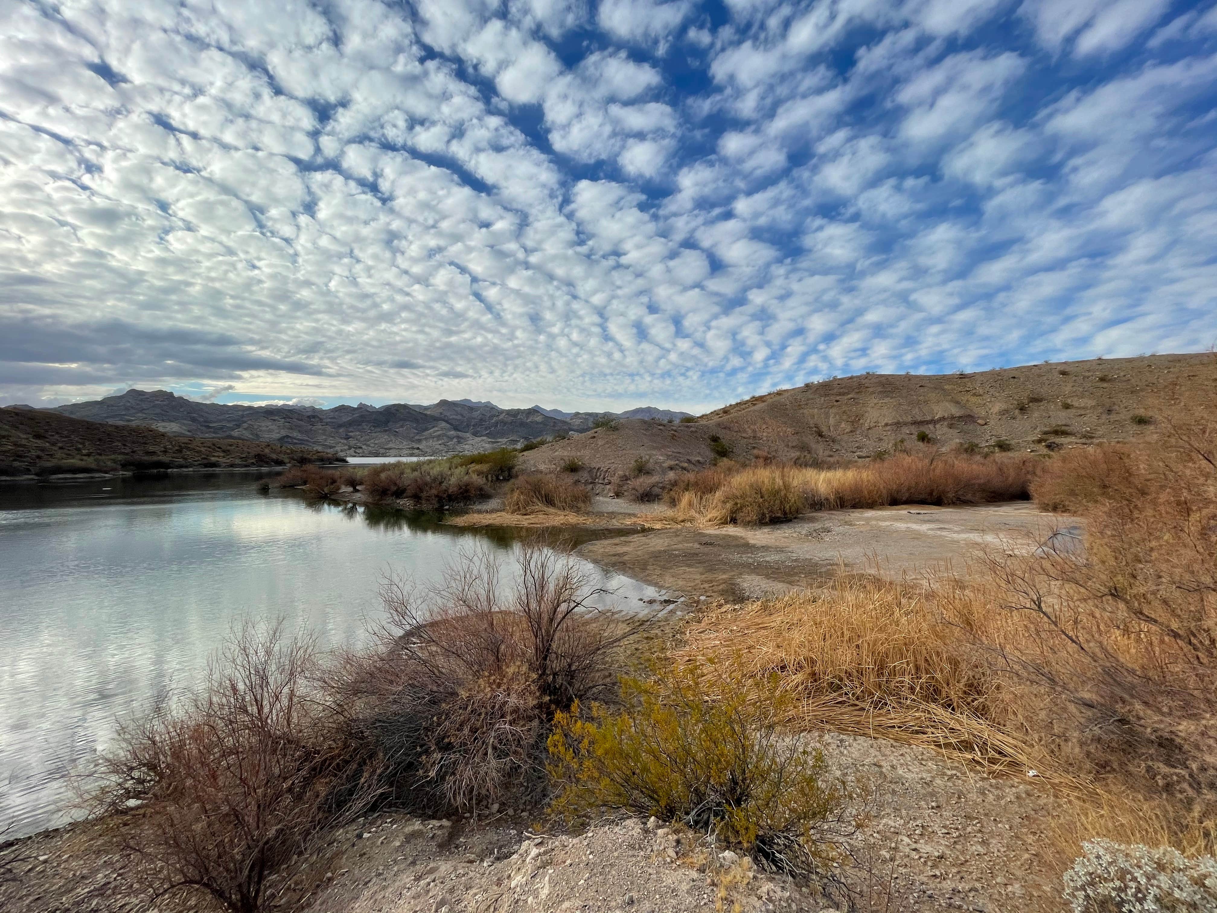 Camper-submitted photo at Arrowhead Cove — Lake Mead National Recreation Area near Nipton, CA