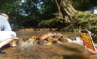 Liz L.'s photo of tent camping at Gateway to the Smokies in North Carolina