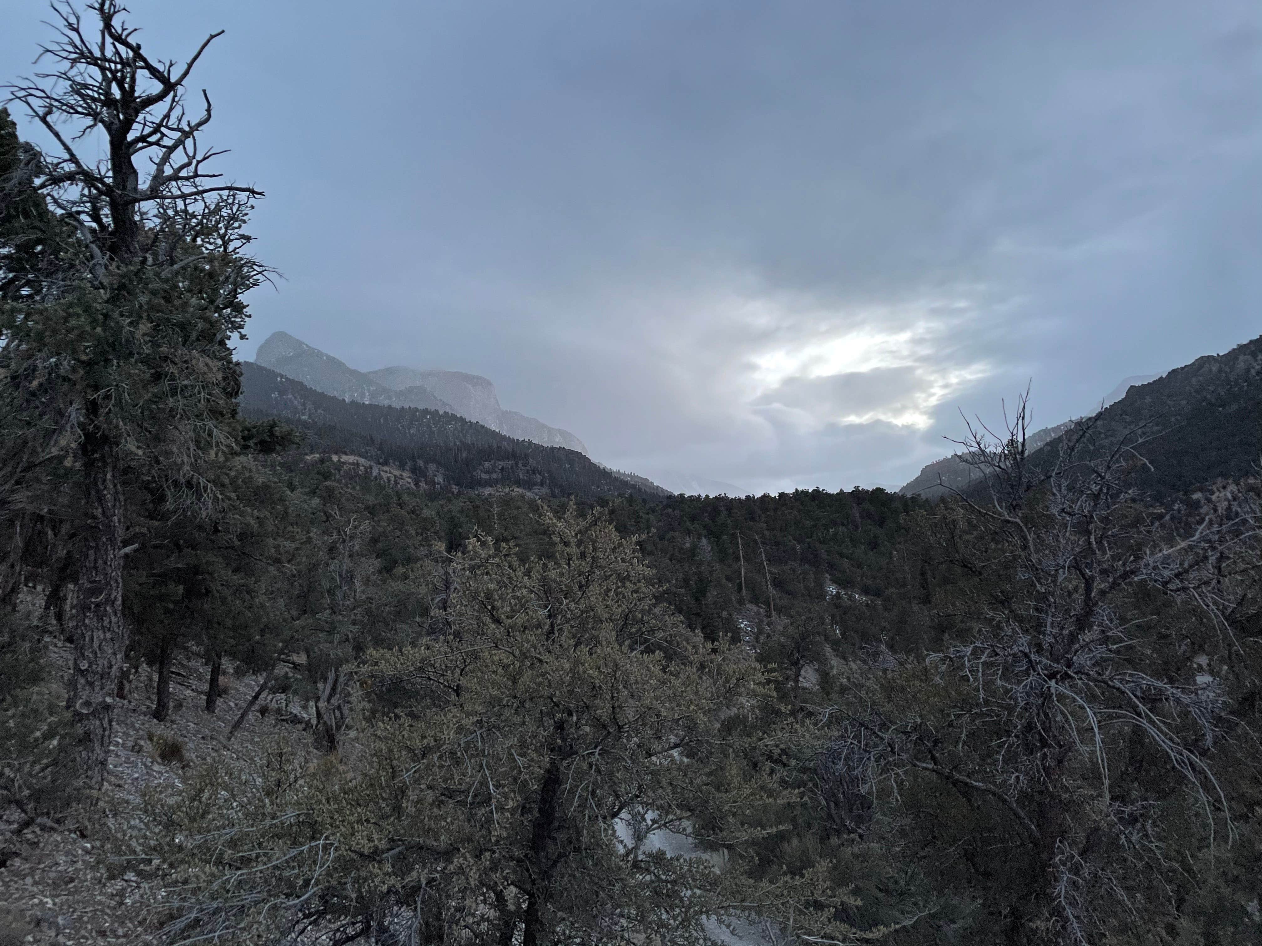 Camping near Mesquite Rd BLM Dispersed: Champion Road Dispersed Campsites, Mount Charleston, Nevada
