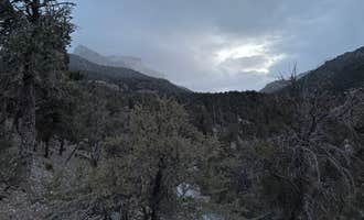 Camping near McWilliams Campground: Champion Road Dispersed Campsites, Mount Charleston, Nevada