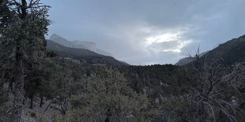 Camper submitted image from Champion Road Dispersed Campsites