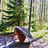 Review photo of Apgar Campground — Glacier National Park by Jeremy A., March 9, 2021