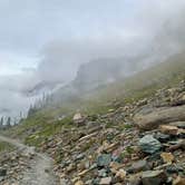 Review photo of Apgar Campground — Glacier National Park by Jeremy A., March 9, 2021