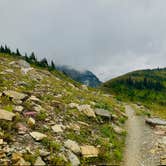 Review photo of Apgar Campground — Glacier National Park by Jeremy A., March 9, 2021