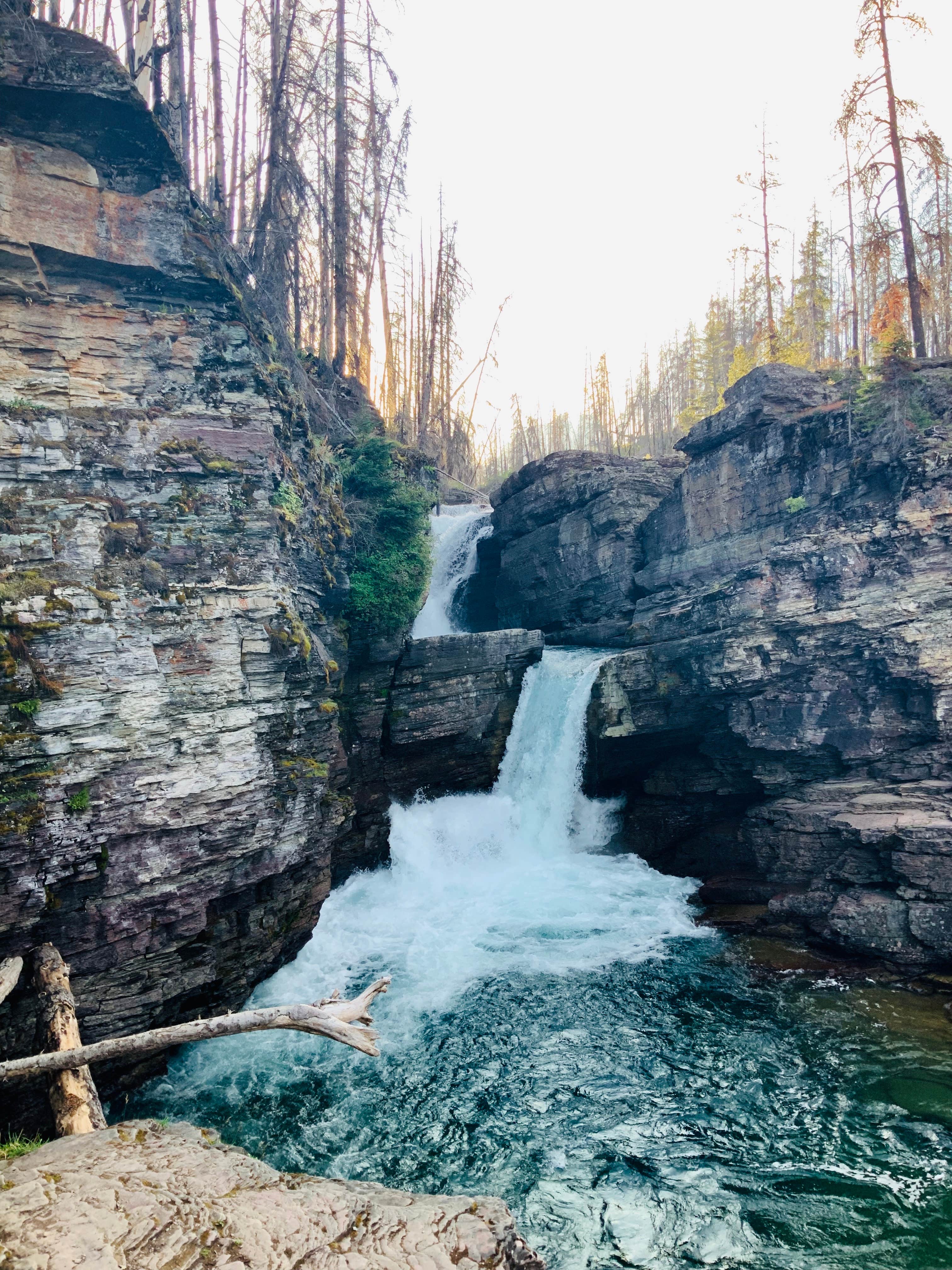 View All