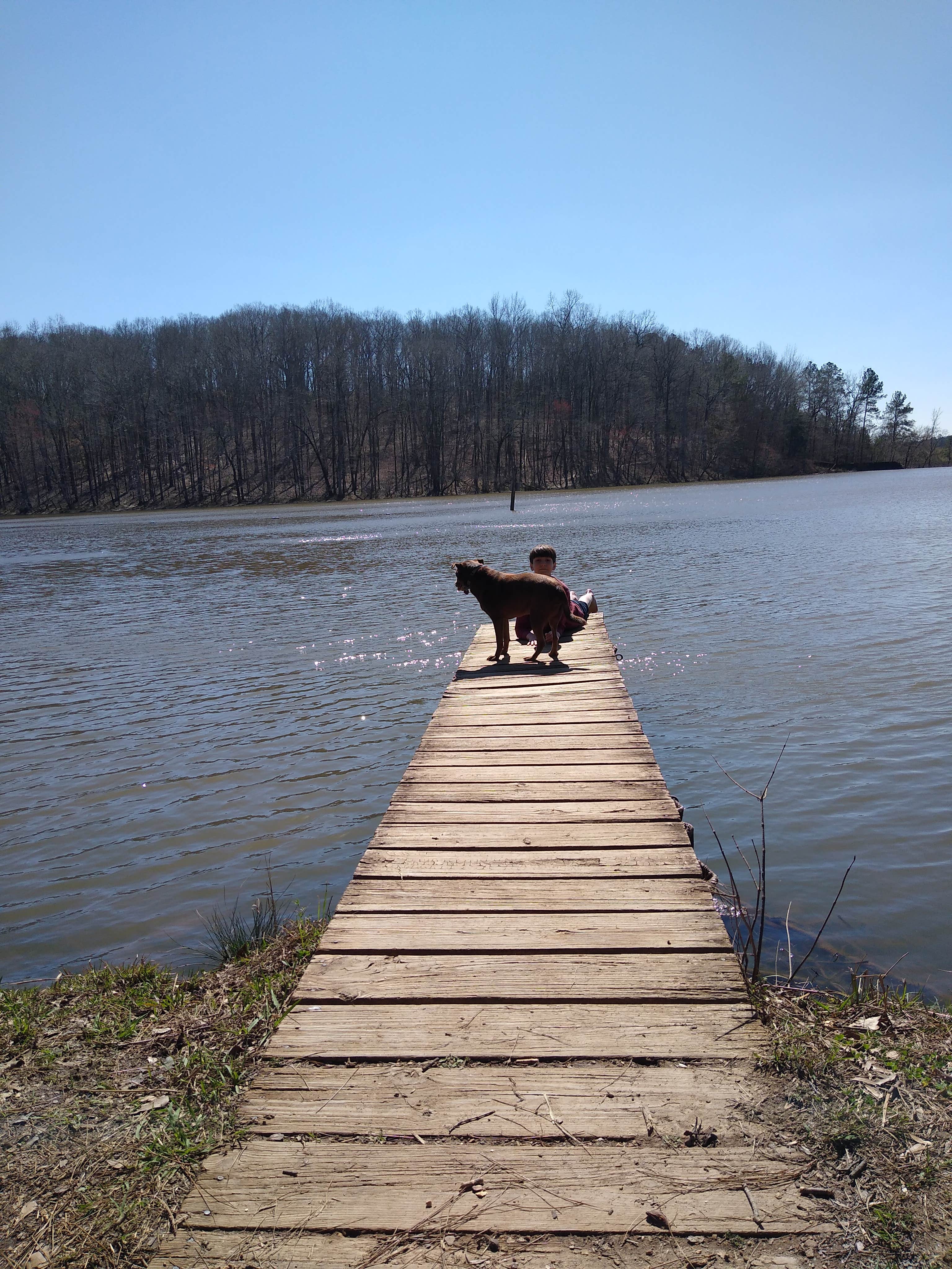 Camper submitted image from Chewacla State Park Campground - 1