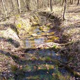 Review photo of Chewacla State Park Campground by Anna R., July 16, 2018