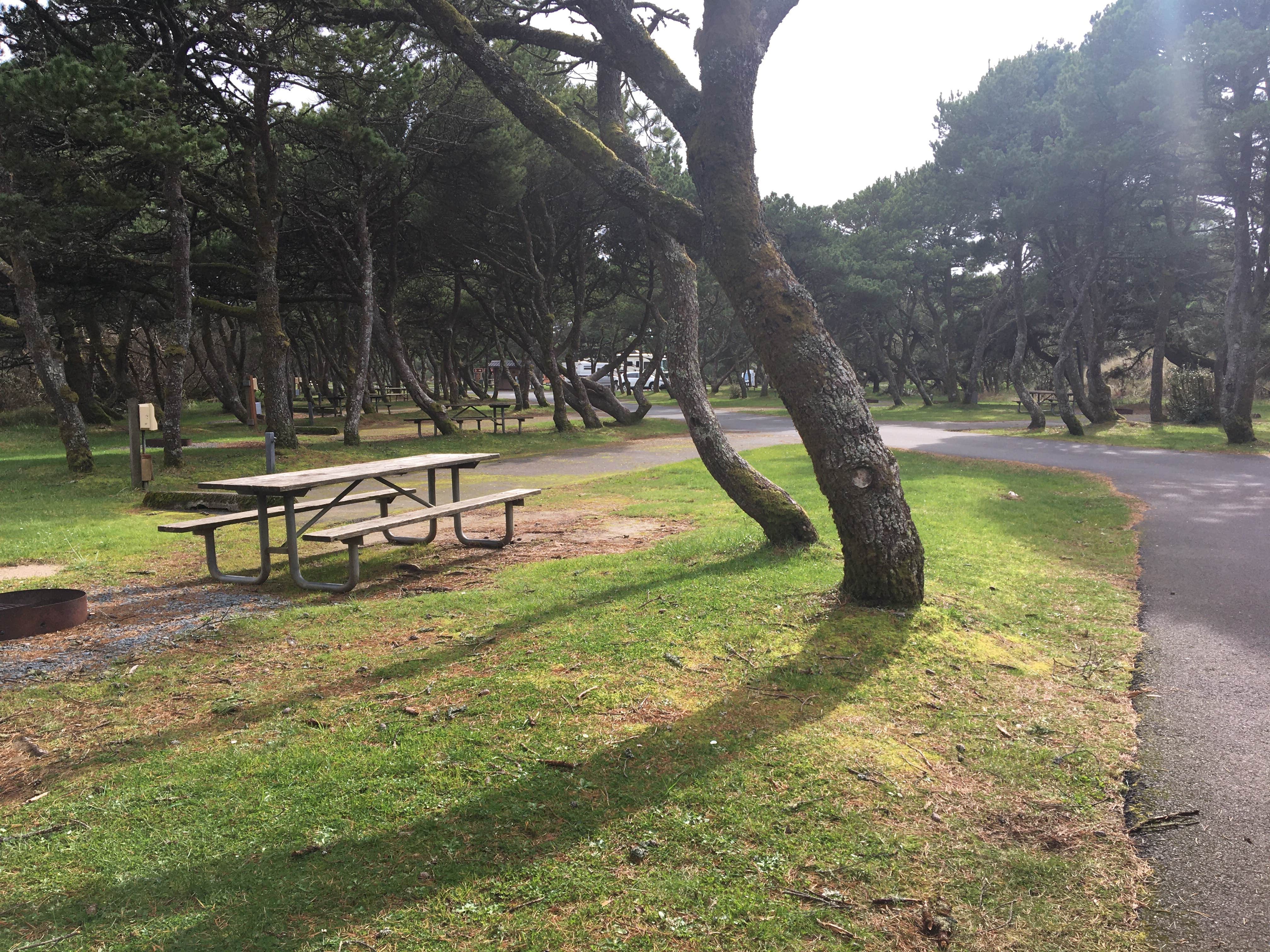 Camper-submitted photo at Nehalem Bay State Park Campground in Oregon