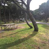 Review photo of Nehalem Bay State Park Campground by Rocco , March 9, 2021