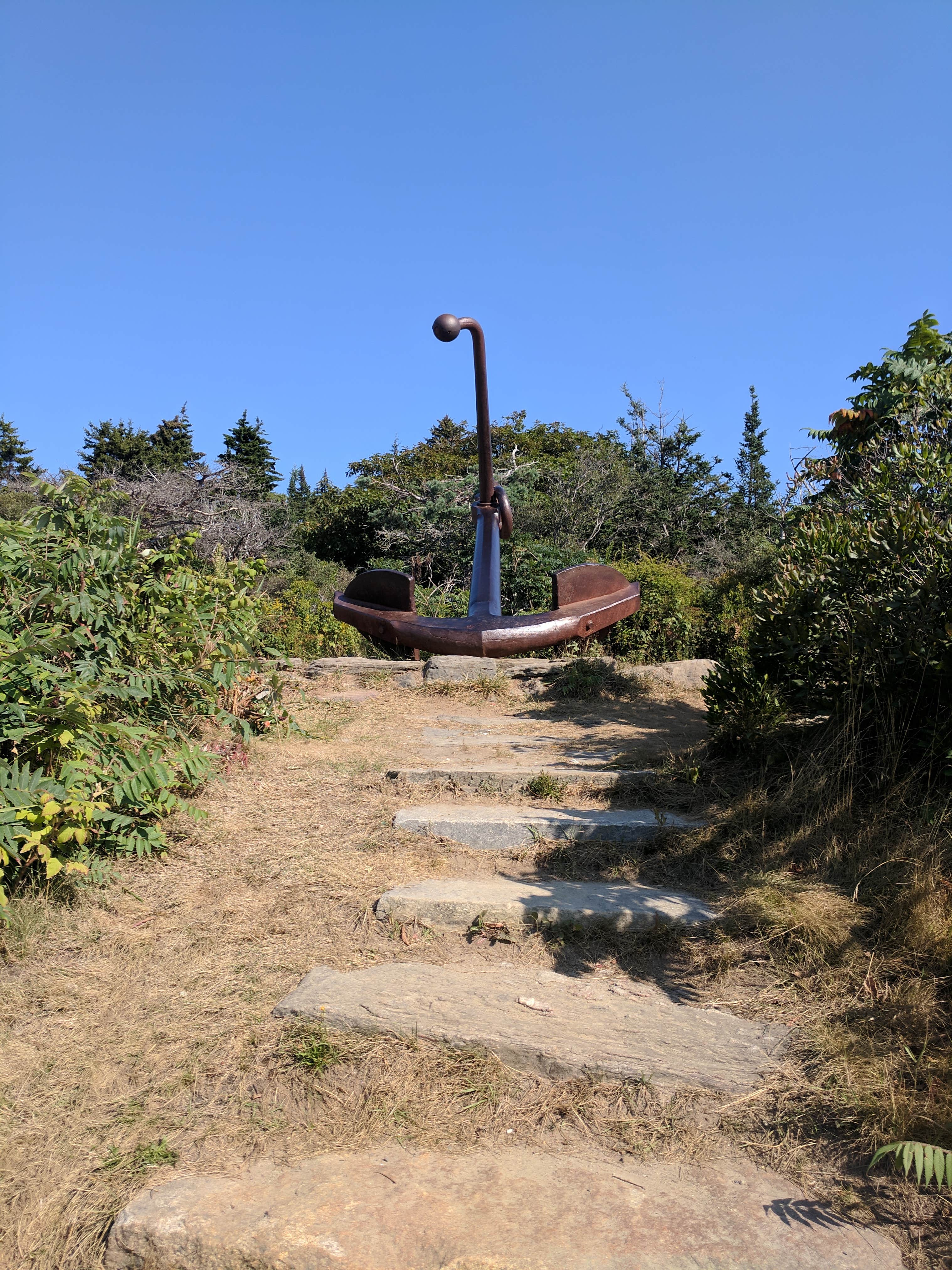 Camper submitted image from Hermit Island Campground - 4