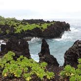 Review photo of Waiʻanapanapa State Park Campground by Megan B., July 13, 2016