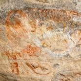 Review photo of Hueco Tanks State Park & Historic Site by Shari  G., March 10, 2021