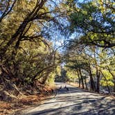 Review photo of Sunny Flat Campground by Shari  G., March 10, 2021