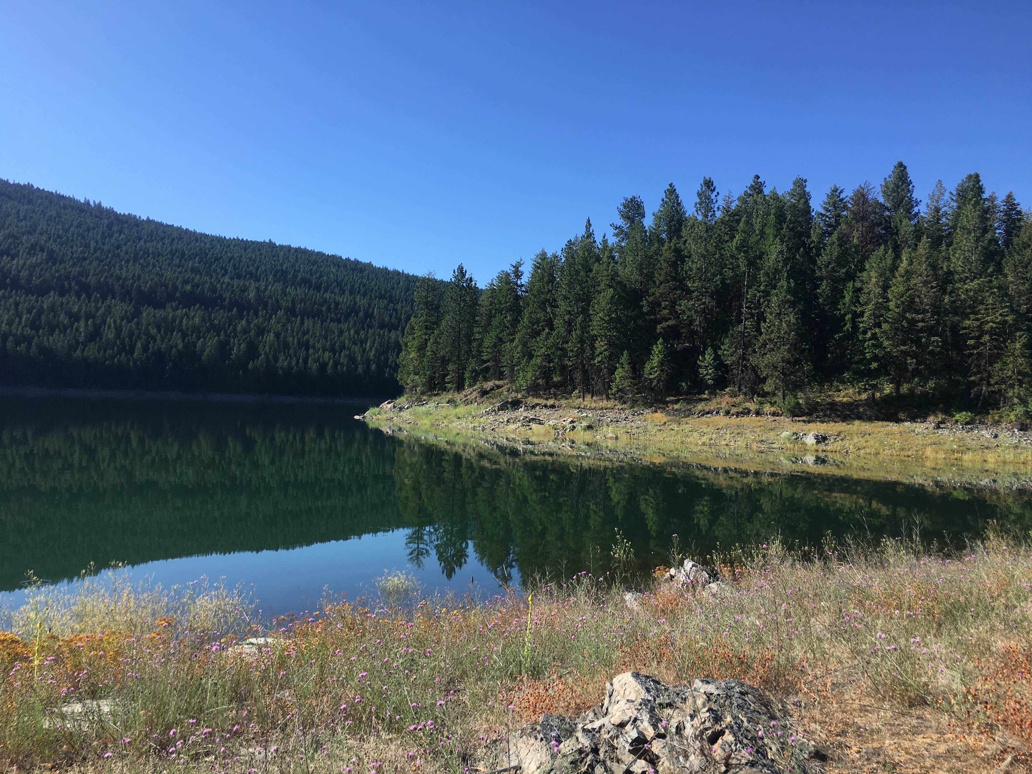 Camping near Hook-U-up RV Park: Yarnell Island Campground, Blue Springs Lake, Montana