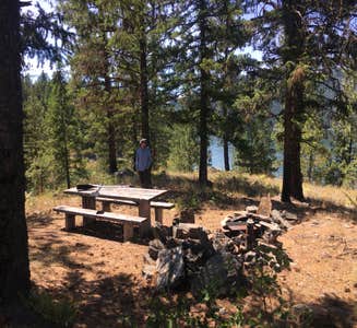 Camper-submitted photo from Yarnell Island Campground