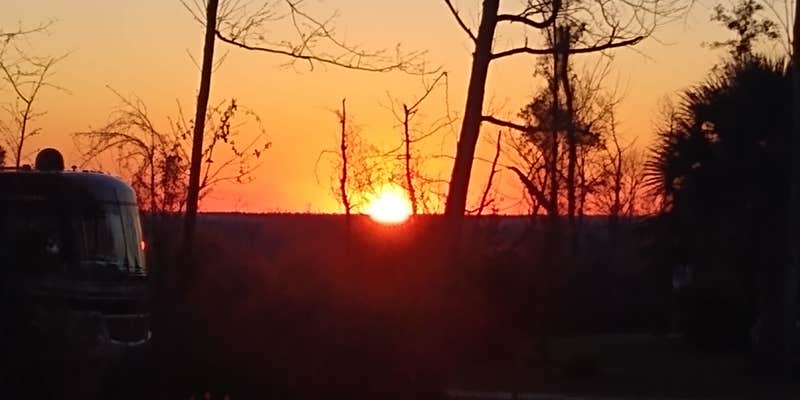 Camper submitted image from Torreya State Park Campground