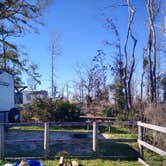 Review photo of Torreya State Park Campground by Rachel G., March 10, 2021