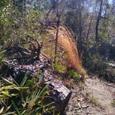 Review photo of Torreya State Park Campground by Rachel G., March 10, 2021