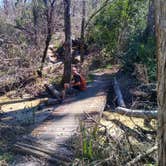 Review photo of Torreya State Park Campground by Rachel G., March 10, 2021