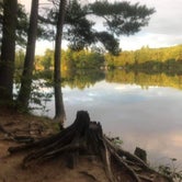 Review photo of Pawtuckaway State Park Campground by Lauren A., March 10, 2021