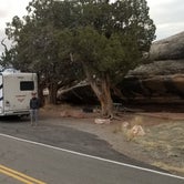 Review photo of The Needles Campground — Canyonlands National Park by Paula O., March 10, 2021