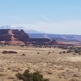 Review photo of The Needles Campground — Canyonlands National Park by Paula O., March 10, 2021