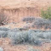 Review photo of Devils Garden Campground — Arches National Park by Paula O., March 10, 2021