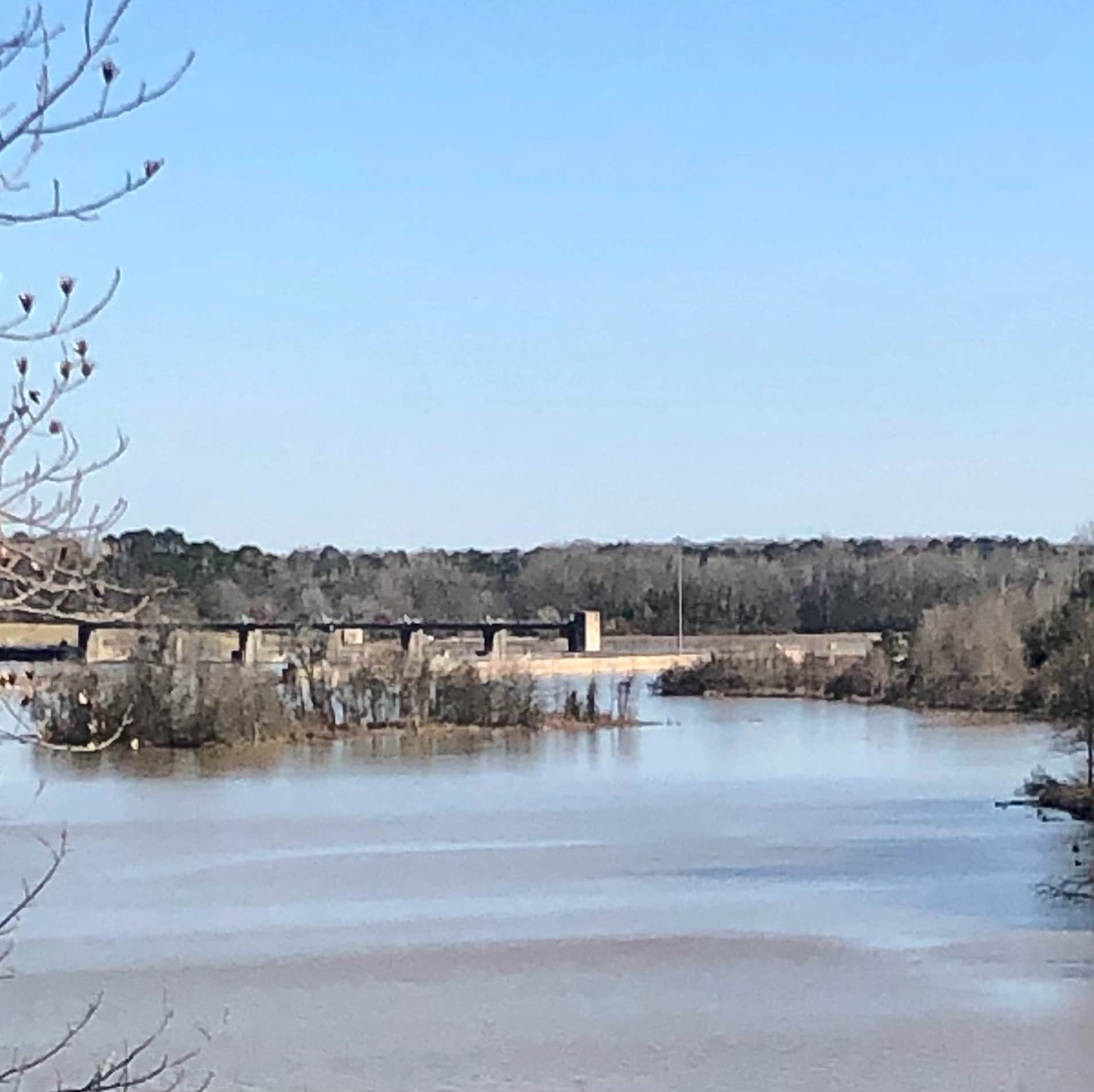 Camper submitted image from Blue Bluff Campground (aberdeen Ms) - 1