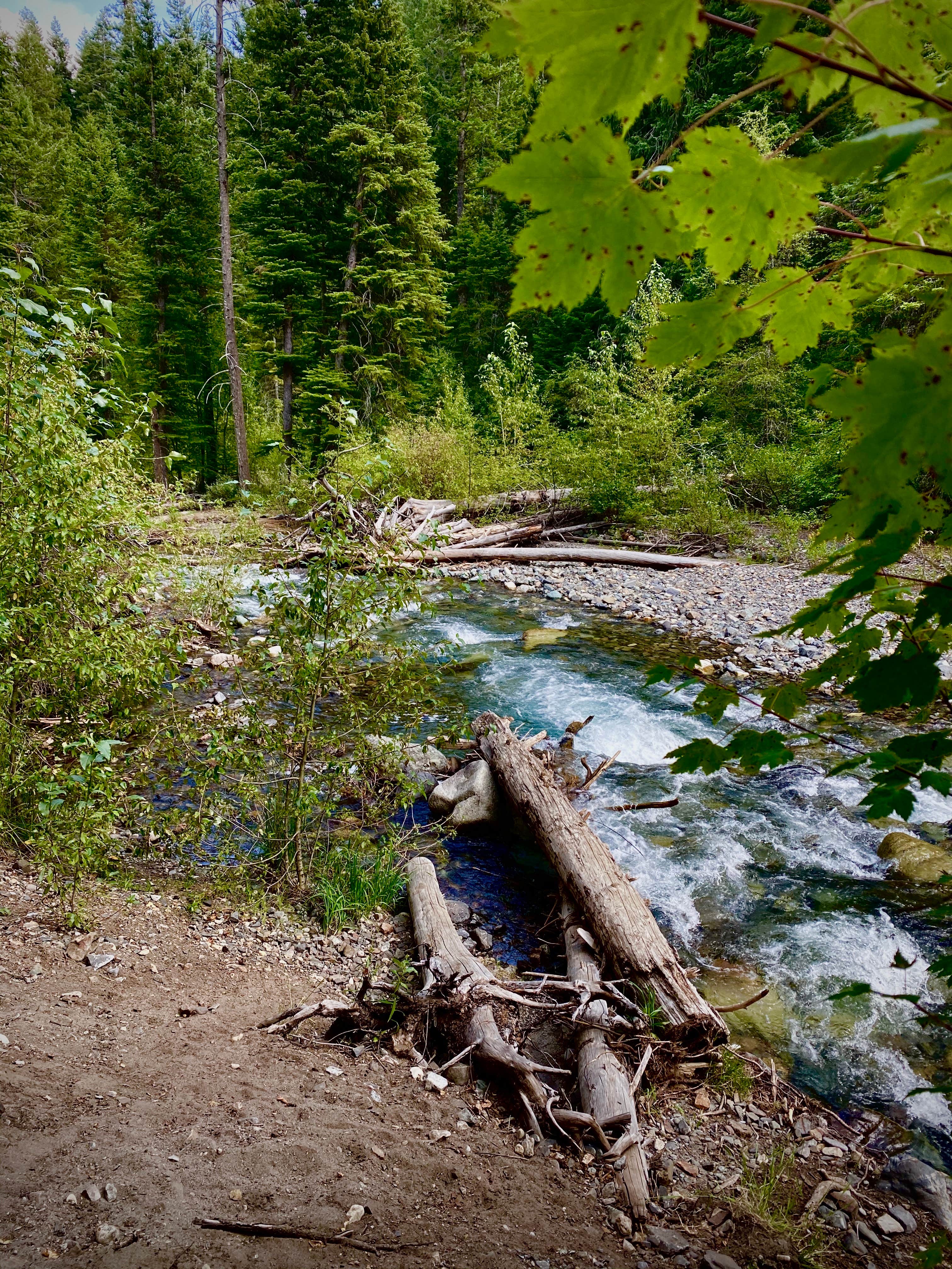 Camper submitted image from Hurricane Creek Campground - 1