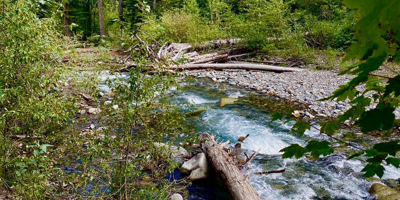 Camper submitted image from Hurricane Creek Campground