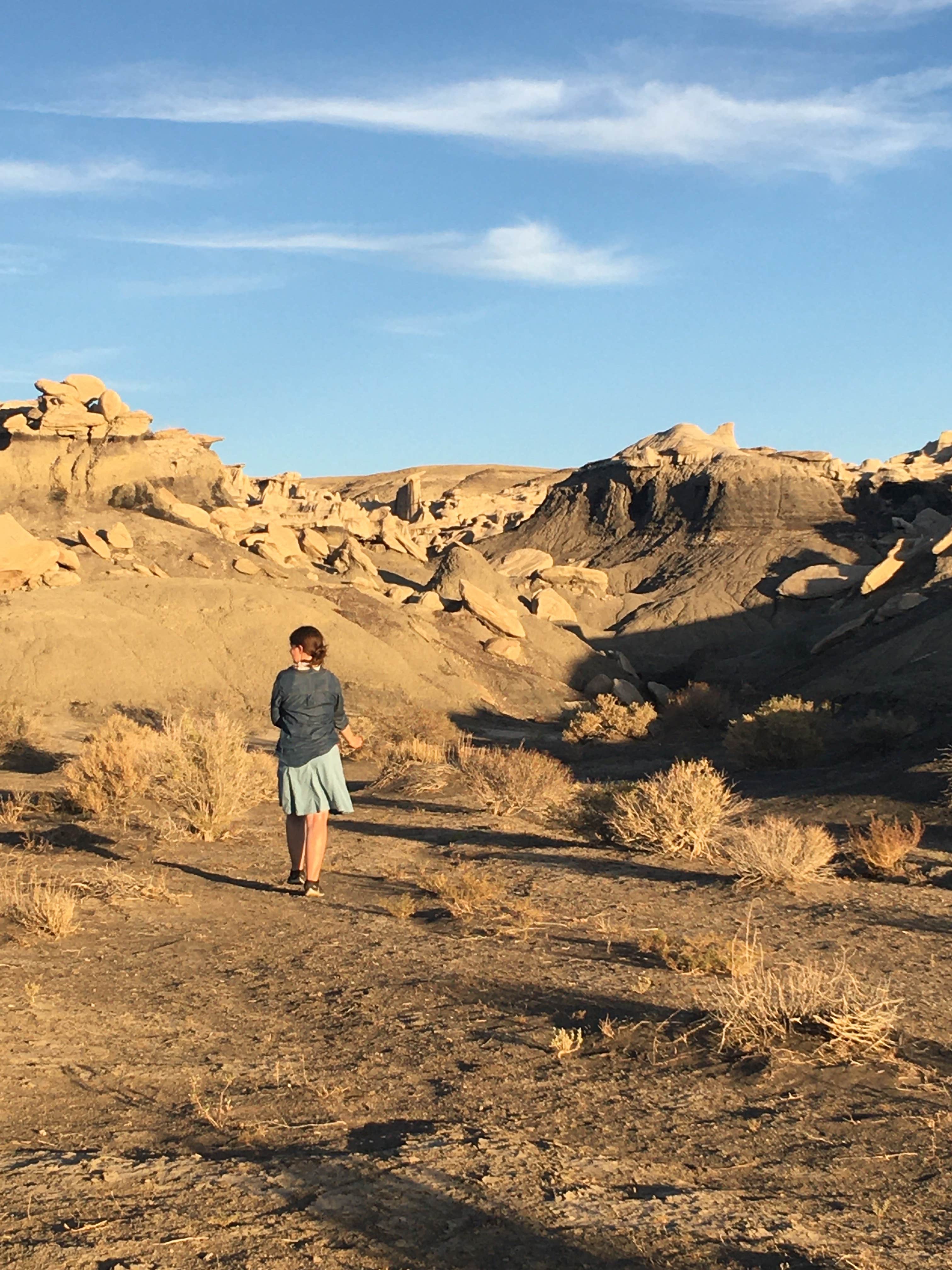 Camper submitted image from Bisti / De-Na-Zin Wilderness Area - 1